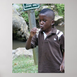 夏のカエル ポスター