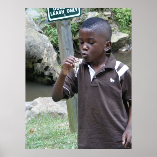 夏のカエル ポスター (正面)