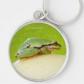 夏のカボチャにかわいいパシフィックツリーカエル キーホルダー (正面)
