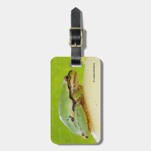 夏のカボチャにかわいいパシフィックツリーカエル ラゲッジタグ (正面縦)