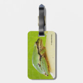 夏のカボチャにかわいいパシフィックツリーカエル ラゲッジタグ (裏面縦)