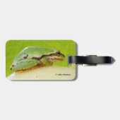 夏のカボチャにかわいいパシフィックツリーカエル ラゲッジタグ (裏面横)