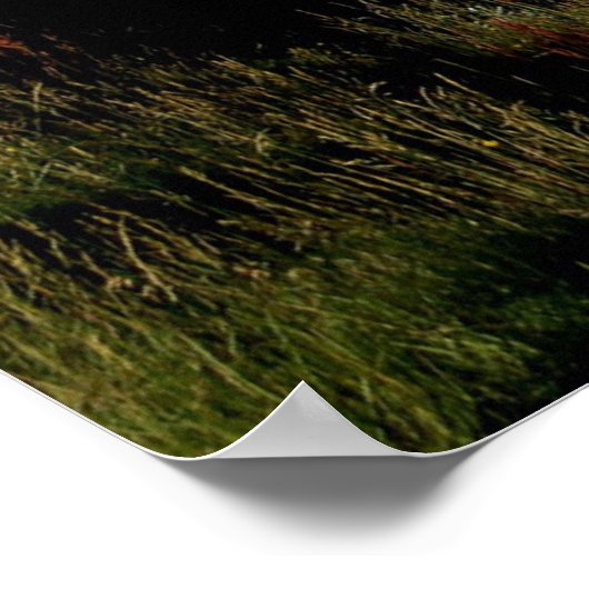 夏のカモメ滝 ポスター (角)