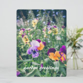 夏のカラフル田舎庭のパンジー シーズンカード (スタンド正面)