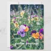 夏のカラフル田舎庭のパンジー シーズンカード (正面)