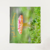 夏のキノコの写真の最後の秋赤と緑 タペストリー (正面)