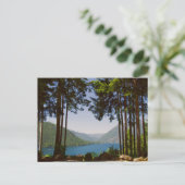 夏のクッシュマン湖 ポストカード (スタンド正面)