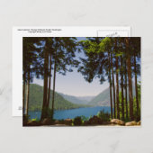 夏のクッシュマン湖 ポストカード (正面/裏面)