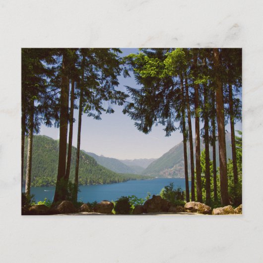 夏のクッシュマン湖 ポストカード (正面)