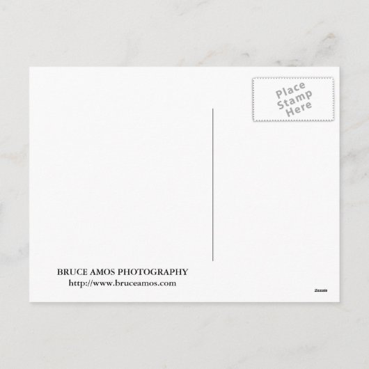 夏のクラシックはがき シーズンポストカード (裏面)