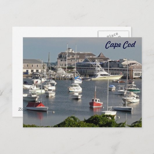 夏のケープコッドの港での船 ポストカード (正面/裏面)