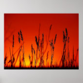 夏のシルエットポスター ポスター (正面)