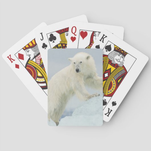 夏のシロクマ トランプ (裏面)