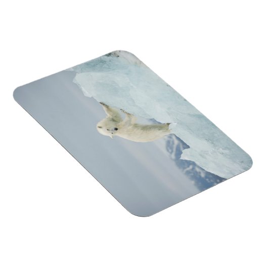 夏のシロクマ マグネット (右側)