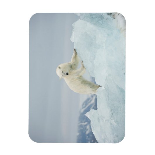 夏のシロクマ マグネット (縦)