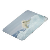 夏のシロクマ マグネット (左側)