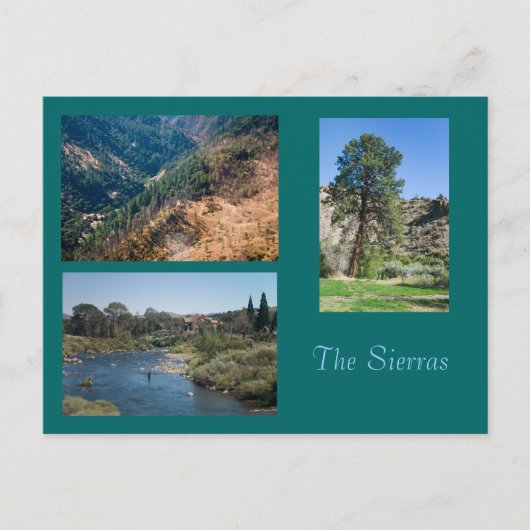 夏のシーラス ポストカード (正面)