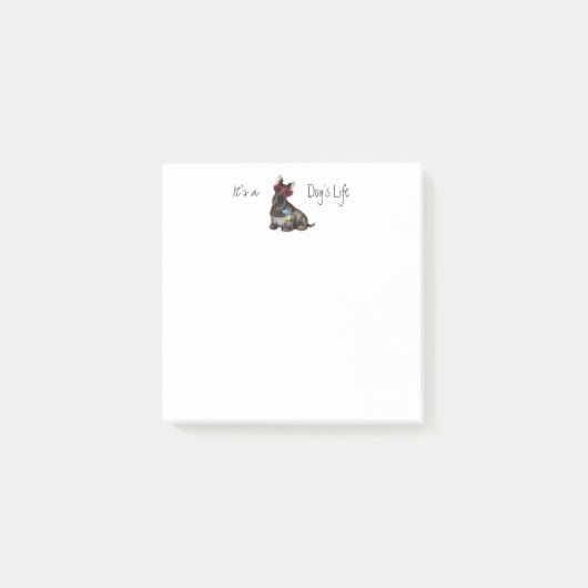 夏のスコットランド人テリア ポストイット (正面)