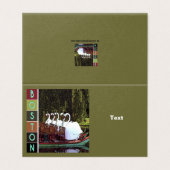 夏のスワンボート – ボストン (外部フラット)