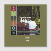 夏のスワンボート – ボストン (正面)