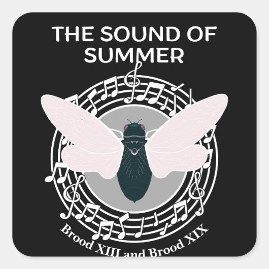 夏のセミの鳴き スクエアシール (正面)