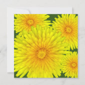 夏のタンポポ ノートカード (正面)