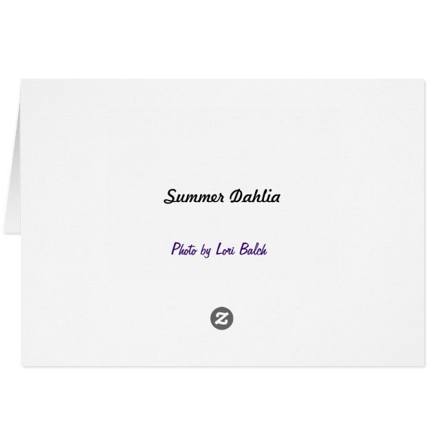 夏のダリア (裏面横)