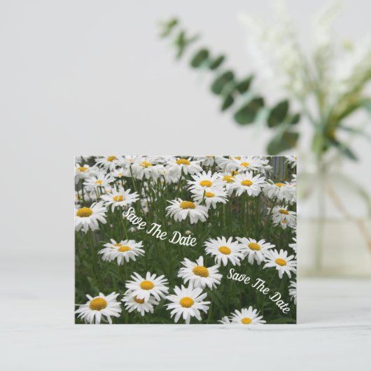 夏のデイジーの花の日付はがきを保存 案内ポストカード (スタンド正面)