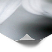 夏のデイジーポスター ポスター (角)