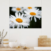 夏のデイジーポスター ポスター (キッチン)