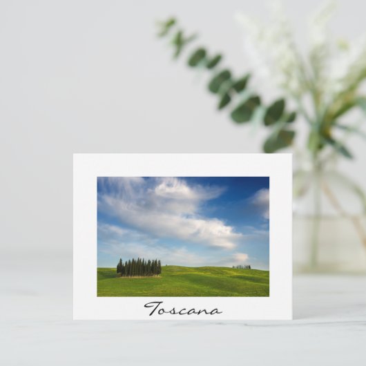 夏のトスカーナのヒノキの木 ポストカード (スタンド正面)