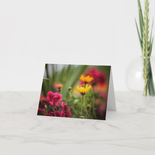 夏のノートカードの色 カード (正面)