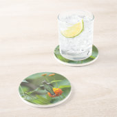 夏のハマー コースター (側面)