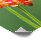 夏のハマー ポスター (角)