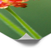 夏のハミング ポスター (角)