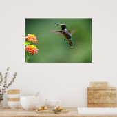 夏のハミング ポスター (キッチン)