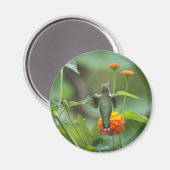 夏のハミング マグネット (正面/裏面)