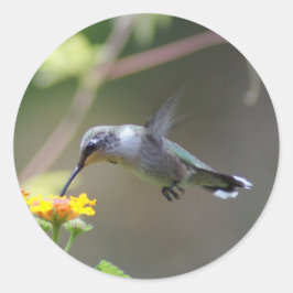 夏のハミング ラウンドシール