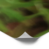 夏のハート- Ken Gage写真 ポスター (角)