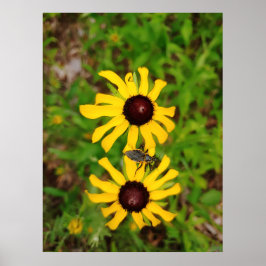 夏のハート- Ken Gage写真 ポスター