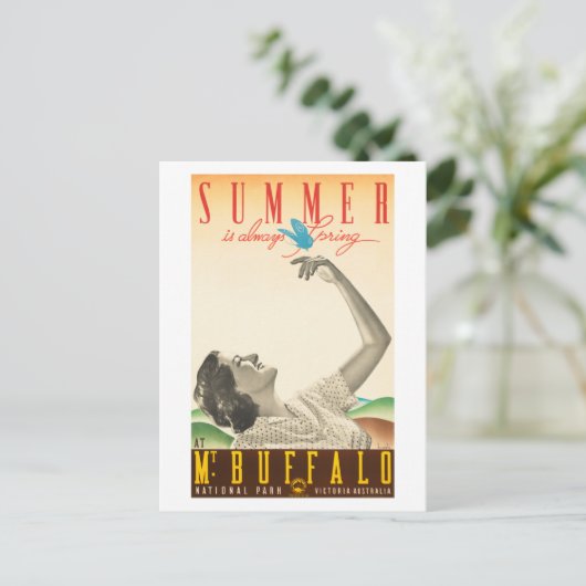 夏のバッファローオーストラリアのビンテージポスター1936 ポストカード (スタンド正面)
