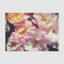 夏のバラティッシュペーパー