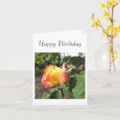 夏のバラ カード (黄色い花)