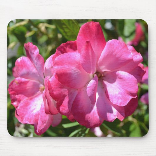 夏のバラ マウスパッド (正面)