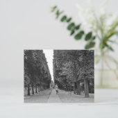 夏のパリの公園の老婦人歩く ポストカード (スタンド正面)