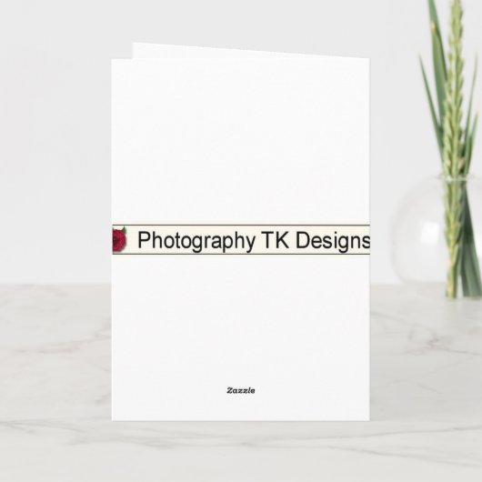 夏のヒマワリとラディバグが治る カード (裏面)