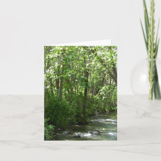 夏のビッグクリーク…..... カード (正面)