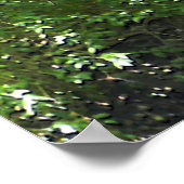 夏のビッグクリーク…... ポスター (角)