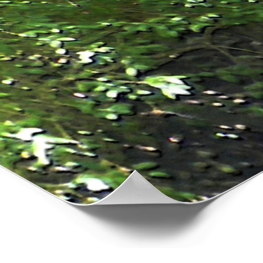 夏のビッグクリーク…... ポスター (角)