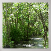 夏のビッグクリーク…... ポスター (正面)